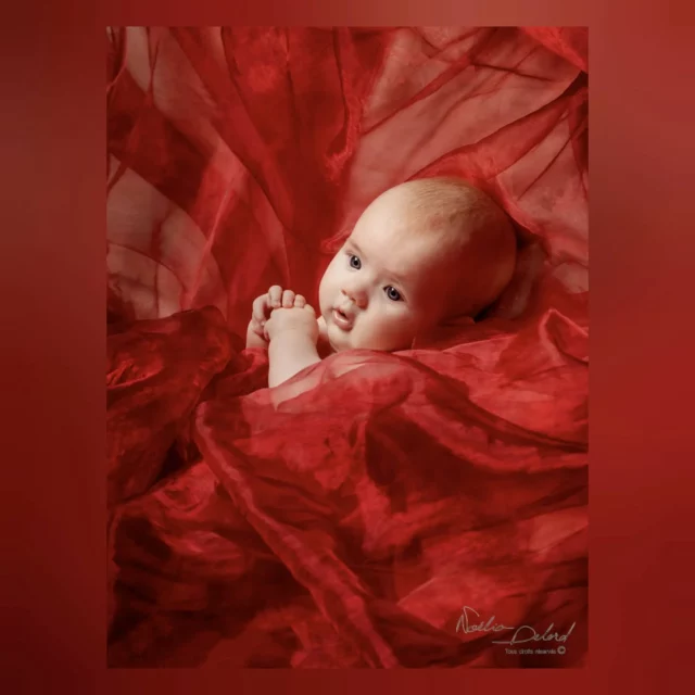 Photo n*6/12 : Portrait Libre Créatif 🎀
Série du Portraitiste de France 2025🏅
Avec la fille de @maaaainon

Et c'est Jade qui est venue illustrer ce thème, lors de sa séance naissance avec sa maman ! Des parents bien gentils d'avoir accepté que cette petite paillotte de Noël participe au concours du PDF 🙏

Merci à tous les deux ! 

Renseignez-vous ou réservez votre séance en me contactant au 06-77-15-78-76
