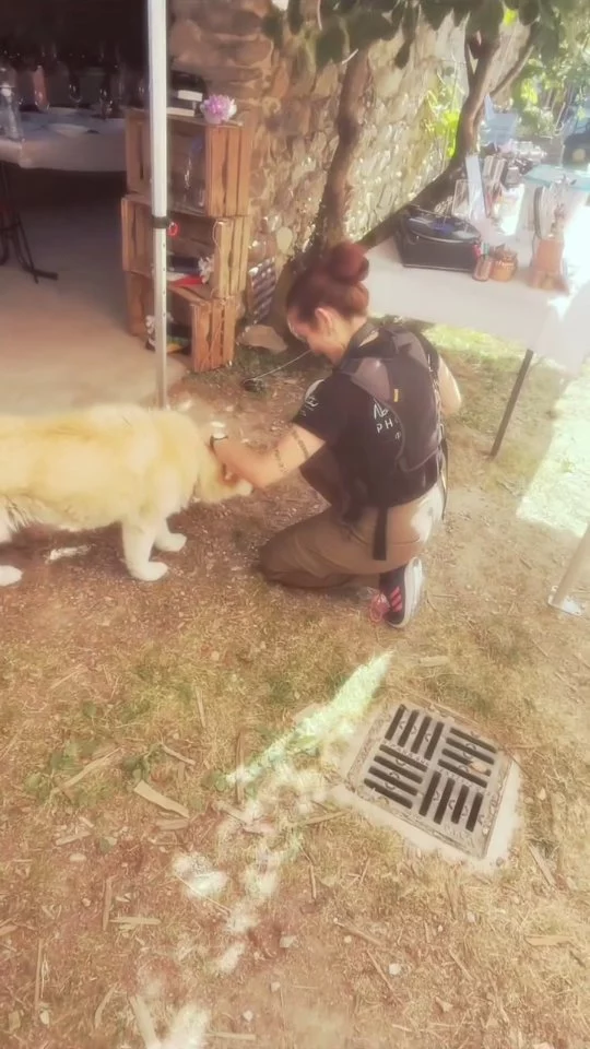 Un réel accompagné de canidés 🐕 
Et pas n'importe lequel, je parle d'Hermione tout de même ! 

Merci aux mariés pour leur confiance lors de leur mariage surprise qui était censé être l'anniversaire des 30ans de la mariée : j'ai adoré être dans la confidence ! 😈

Avec @siebertmathieu et @m.pnsnnt