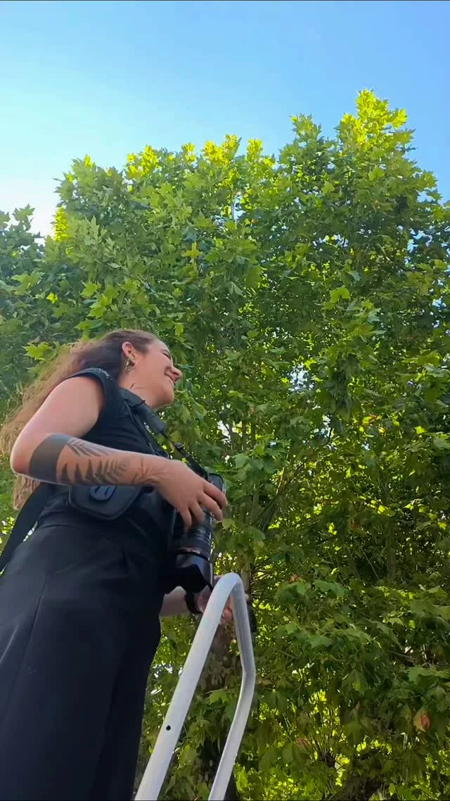 Le mariage de Cindy et Eddy : sur le plateau ardéchois, il fait plus frais ! ☀️💨

Et quand je dis "plus frais" le parle de 31 degrés au lieu de 34 vous voyez ? 🤣 Mais c'est toujours ça de pris ! Et pour le plus grand bonheur des mariés ! 💒