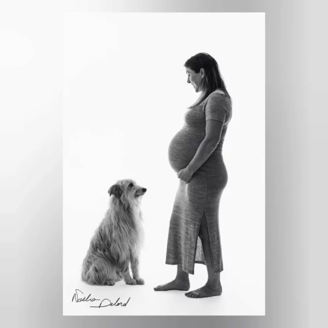 Poser avec son chien en étant enceinte, qui a fait ça ? 🤩

Sonny et Aurélie ont dit "pourquoi pas après tout!" Et c'est bien au studio qu'on peut faire des séances aussi émouvantes ! Un peu de fromage, et hop un regard complice 😄 Un vrai duo...bientôt trio 🤫🥹
Merci à tous les deux pour votre énergie 💪
@lylisonny